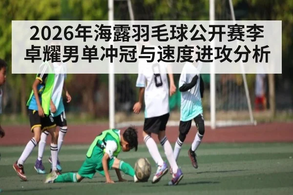 2026年海露羽毛球公开赛李卓耀男单冲冠与速度进攻分析